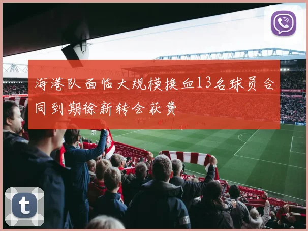 海港队面临大规模换血13名球员合同到期徐新转会获费