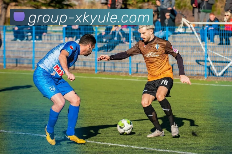 星空娱乐平台生态图